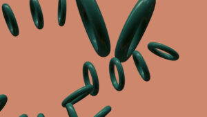 medical abortion